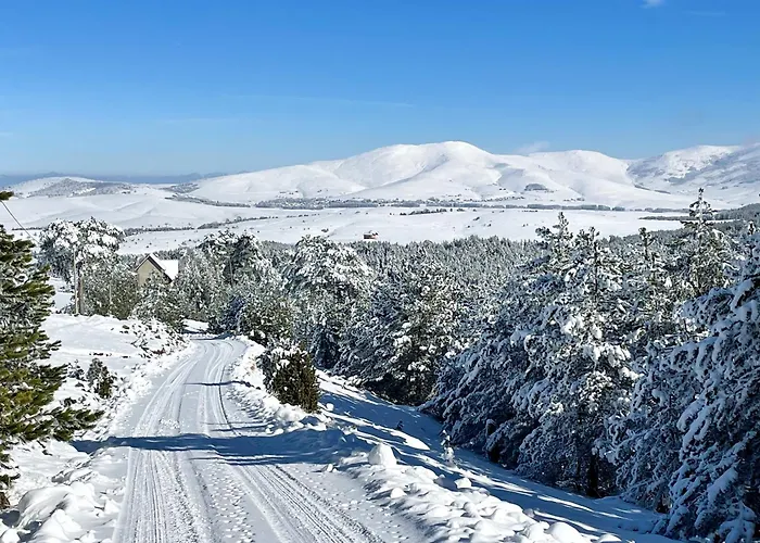 Domek alpejski Rustic Zlatibor *
