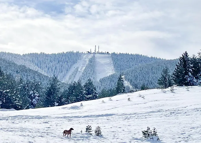 Rustic Zlatibor Domek alpejski Ribnica (Cajetina)